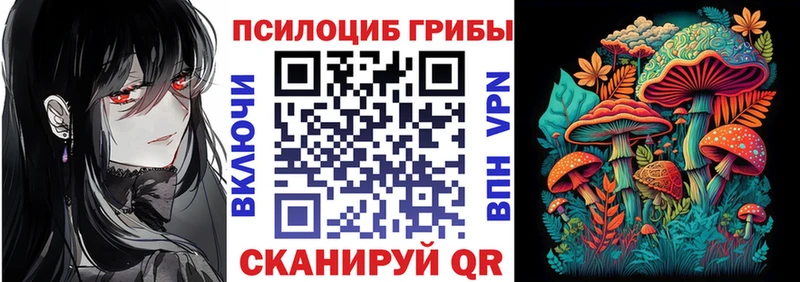 закладки Карабаново Галлюциногенные грибы GOLDEN TEACHER